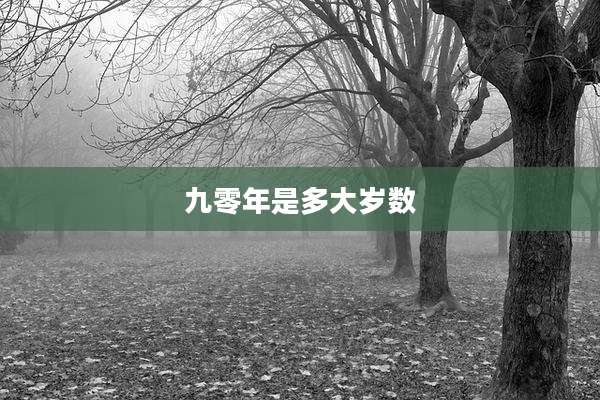 九零年是多大岁数