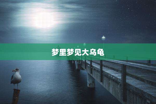 梦里梦见大乌龟