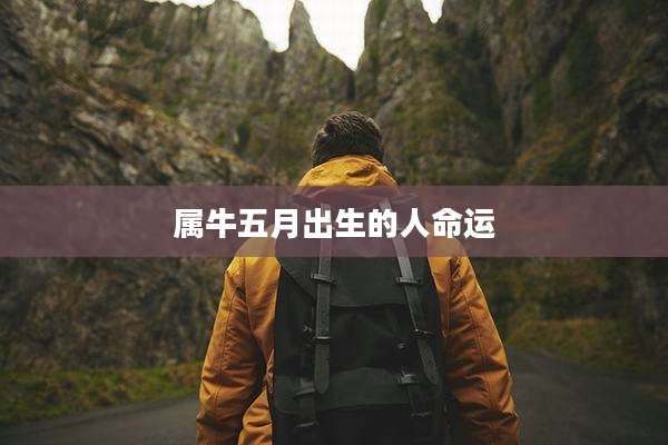 属牛五月出生的人命运
