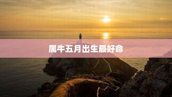 属牛五月出生最好命