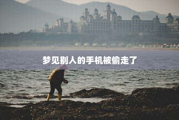 梦见别人的手机被偷走了