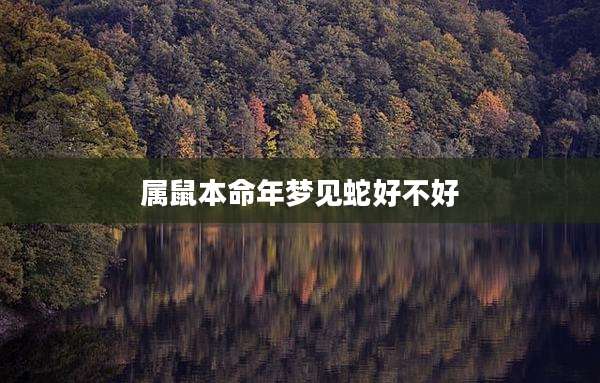 属鼠本命年梦见蛇好不好