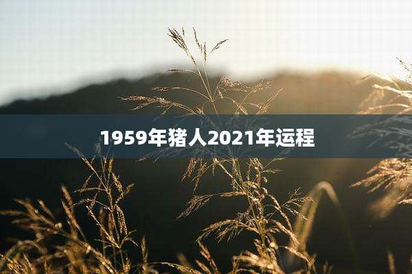 1959年猪人2021年运程