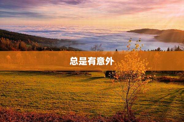总是有意外