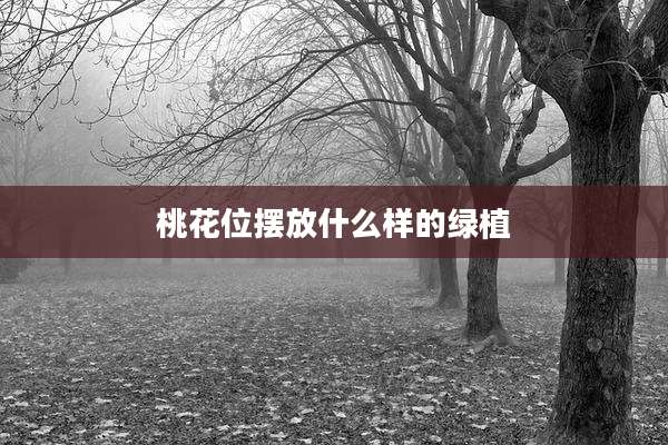 桃花位摆放什么样的绿植