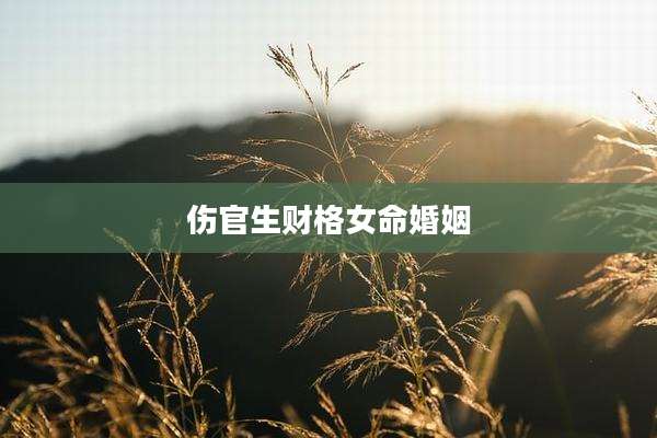 伤官生财格女命婚姻