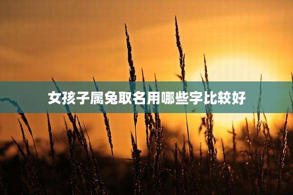 女孩子属兔取名用哪些字比较好