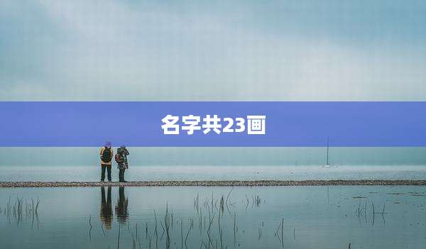 名字共23画