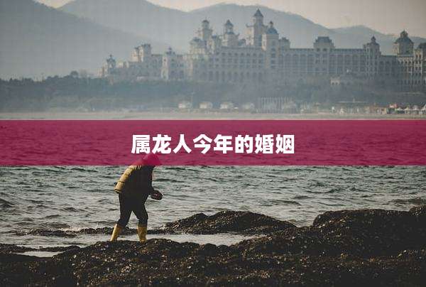 属龙人今年的婚姻