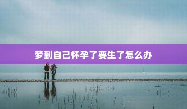 梦到自己怀孕了要生了怎么办