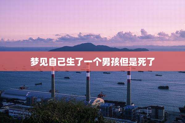 梦见自己生了一个男孩但是死了