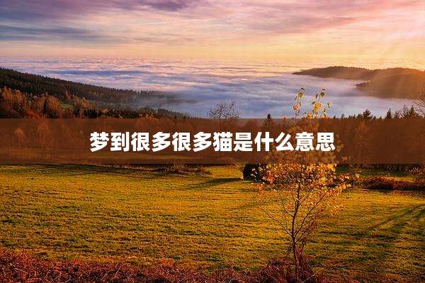 梦到很多很多猫是什么意思