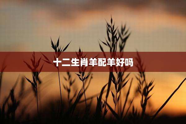 十二生肖羊配羊好吗