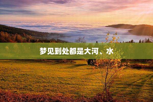 梦见到处都是大河、水