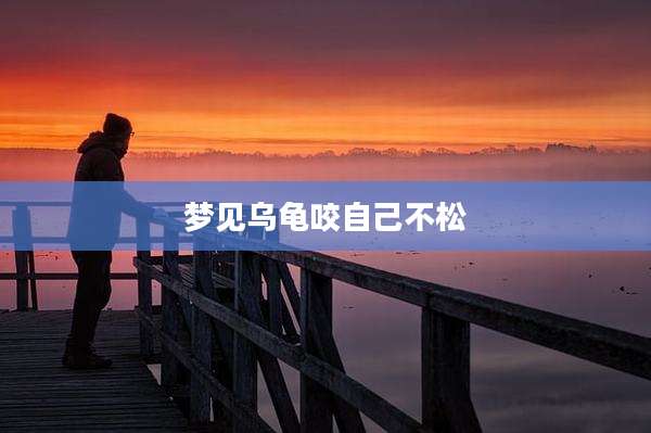 梦见乌龟咬自己不松