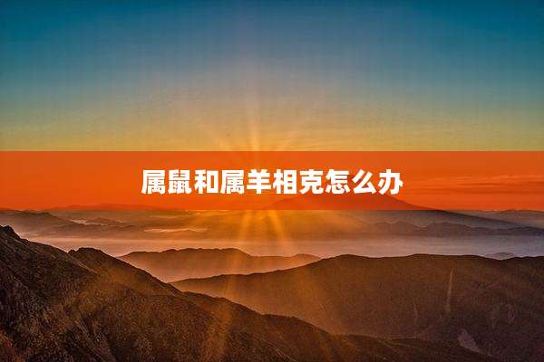 属鼠和属羊相克怎么办