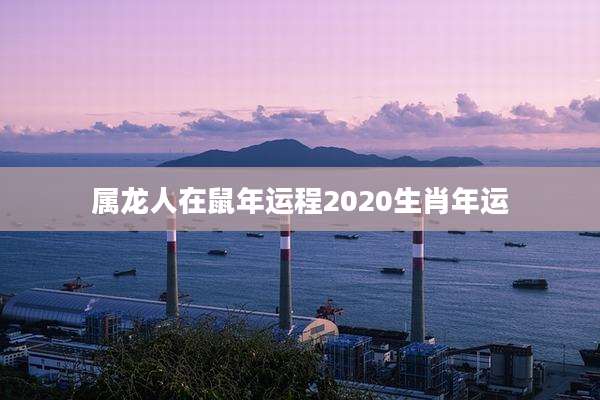 属龙人在鼠年运程2020生肖年运