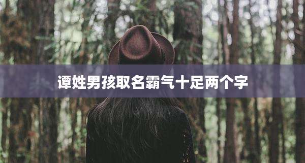 谭姓男孩取名霸气十足两个字