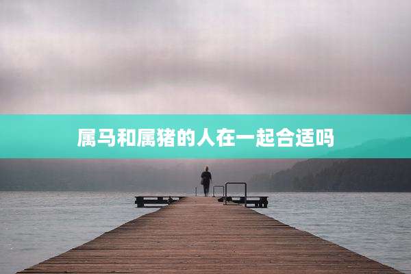 属马和属猪的人在一起合适吗