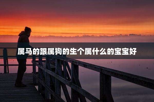 属马的跟属狗的生个属什么的宝宝好