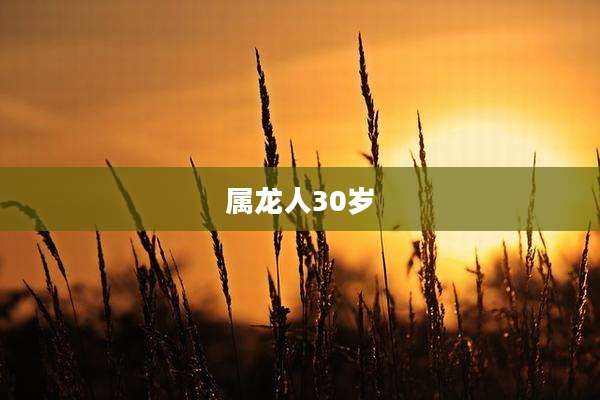 属龙人30岁