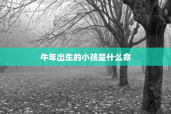 牛年出生的小孩是什么命