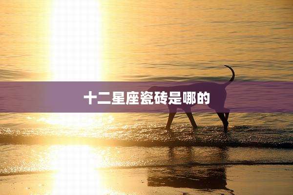 十二星座瓷砖是哪的