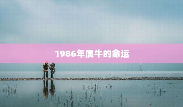 1986年属牛的命运