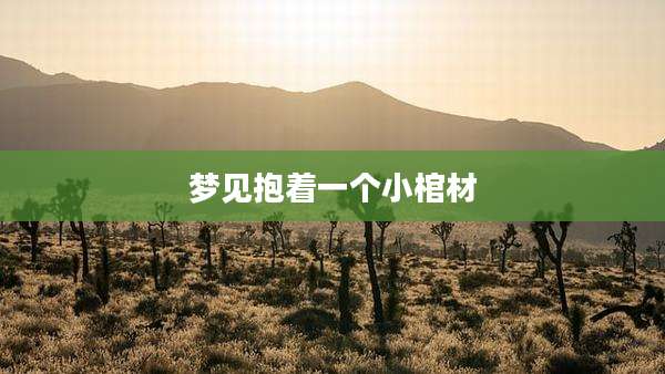 梦见抱着一个小棺材