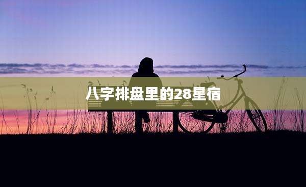八字排盘里的28星宿
