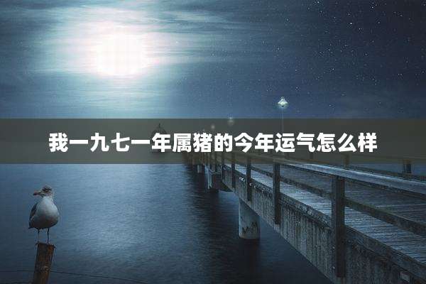 我一九七一年属猪的今年运气怎么样