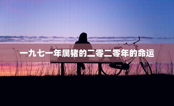 一九七一年属猪的二零二零年的命运