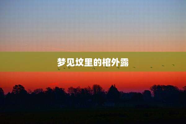梦见坟里的棺外露