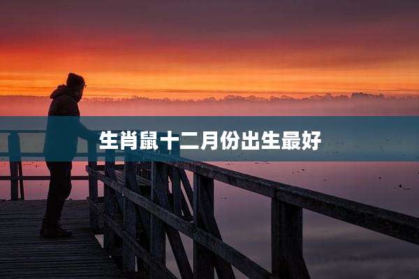 生肖鼠十二月份出生最好