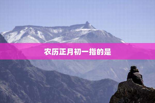 农历正月初一指的是