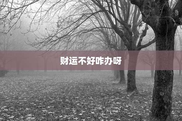 财运不好咋办呀