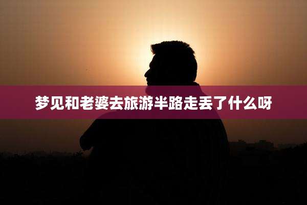 梦见和老婆去旅游半路走丢了什么呀