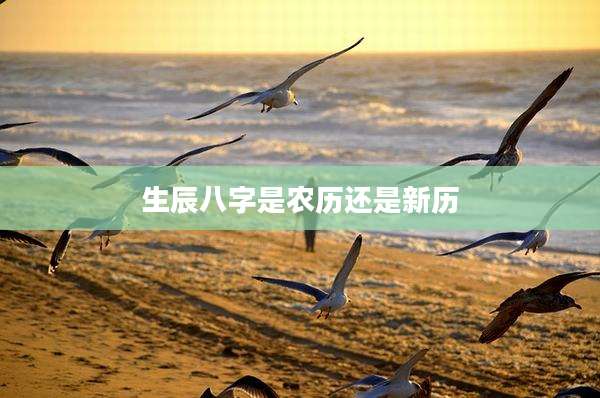 生辰八字是农历还是新历