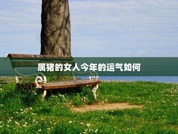属猪的女人今年的运气如何