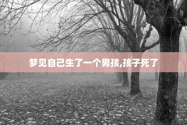 梦见自己生了一个男孩,孩子死了