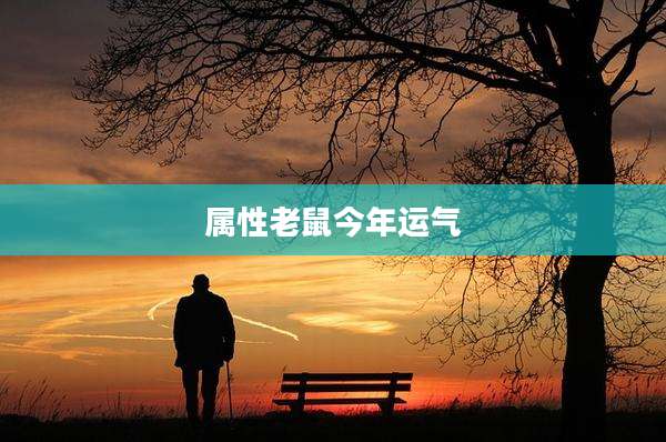 属性老鼠今年运气