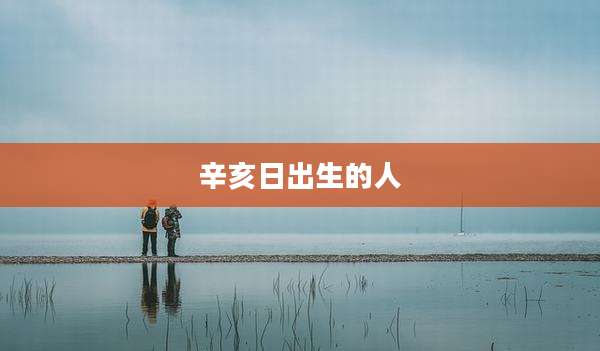 辛亥日出生的人