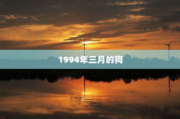 1994年三月的狗