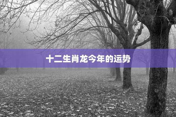 十二生肖龙今年的运势