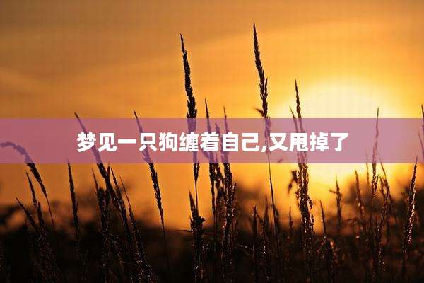 梦见一只狗缠着自己,又甩掉了