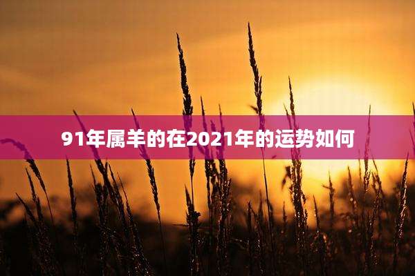 91年属羊的在2021年的运势如何