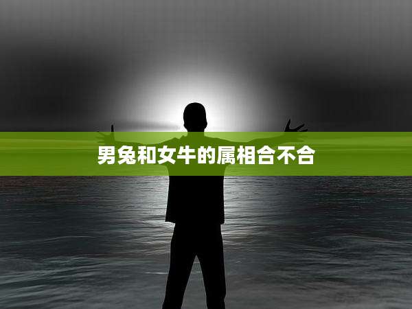 男兔和女牛的属相合不合