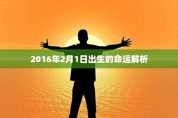 2016年2月1日出生的命运解析