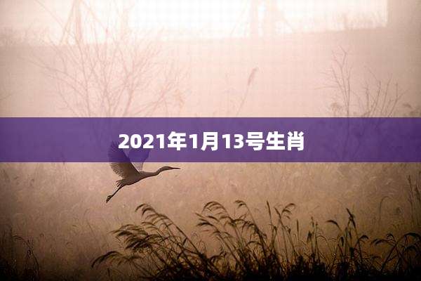 2021年1月13号生肖