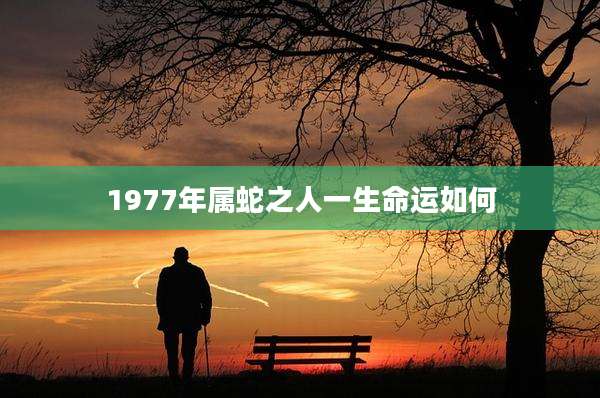 1977年属蛇之人一生命运如何